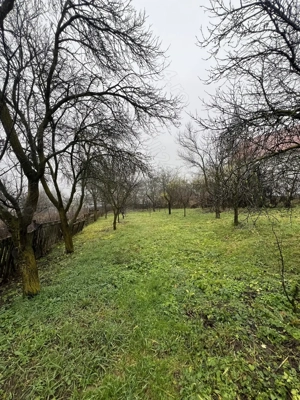 Casa de vanzare sat. Vechea com. Chinteni - imagine 7