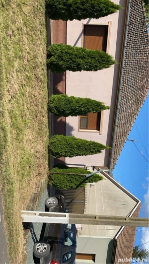 Casă de vânzare - imagine 3