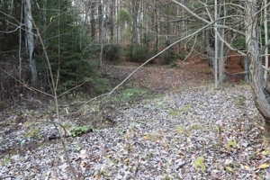 Teren de exceptie Sinaia- Furnica