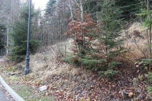 Teren de exceptie Sinaia- Furnica. - imagine 4