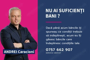 REZERVAT!Vedere directă spre faleza Mureșului, Micalaca 300 - imagine 9