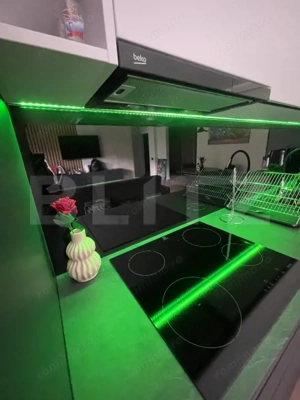 Apartament 2 camere, 53 mp, zona Teilor, etaj intermediar, cu vedere la pădure - imagine 5