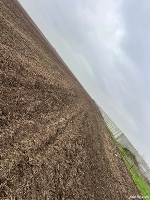 proprietar vand 5 loturi teren intravilan comuna Berceni  - imagine 3