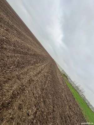 proprietar vand 5 loturi teren intravilan comuna Berceni  - imagine 2