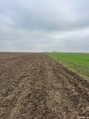 proprietar vand 5 loturi teren intravilan comuna Berceni  - imagine 4