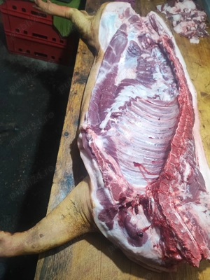 Carcasa 6 decembrie - imagine 3