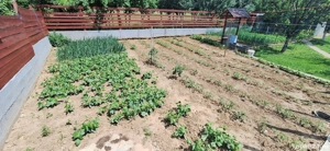 vând casă în Sântimreu  - imagine 6