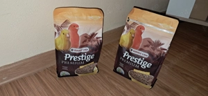 Pereche de Canari - imagine 4