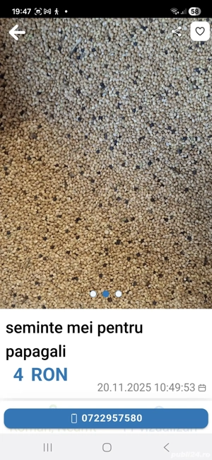 Seminte mei pentru papagali  - imagine 3