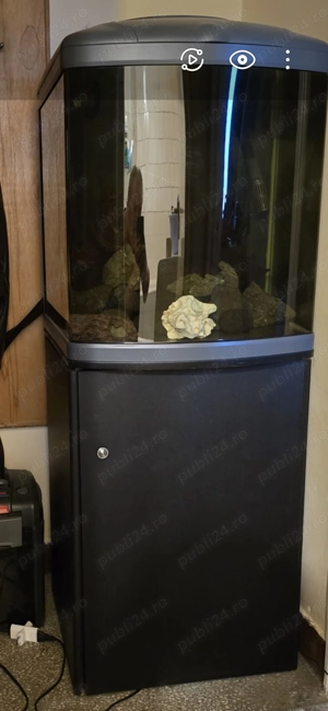 Acvariu 130l, cu pesti, plante, driftwood, roci, substrat, suport si accesorii. - imagine 2
