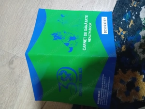 Vand catei tekel pitic e fetita - imagine 6