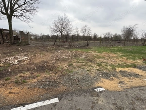 Teren Intravilan Becicherecu Mic,646mp,Utilitatile In Fata Parcelei,Asflat