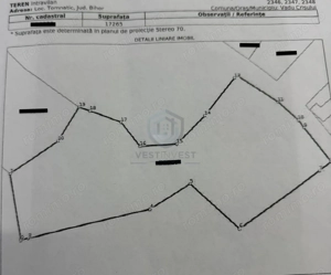 Teren intravilan 17,265 mp in Tomnatic, comuna Vadu Crisului - imagine 7