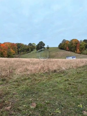 Teren intravilan 17,265 mp in Tomnatic, comuna Vadu Crisului - imagine 4