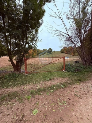 Teren intravilan 17,265 mp in Tomnatic, comuna Vadu Crisului - imagine 5