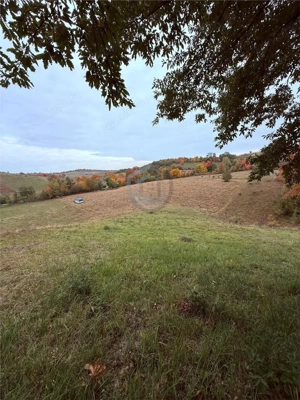 Teren intravilan 17,265 mp in Tomnatic, comuna Vadu Crisului