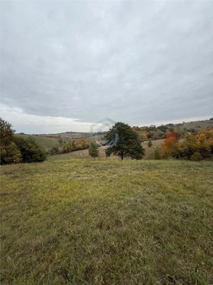 Teren intravilan 17,265 mp in Tomnatic, comuna Vadu Crisului - imagine 2