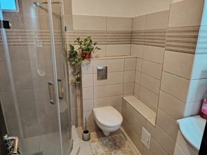 Precista Veche - NOU renovat, mobilat - utilat, LUX