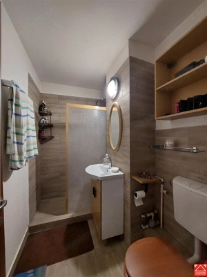 Apartament 2 camere, parter, langa Parcul 23 August Micalaca - imagine 10