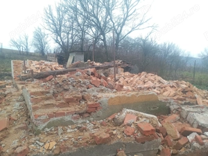 Donez moloz pentru umplutură  - imagine 3