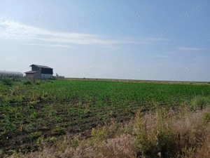 Teren Intravilan la mare, langa statiunea Nibiru