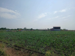 Teren Intravilan la mare, langa statiunea Nibiru - imagine 4