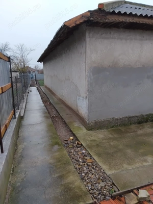 Casa de vânzare în Manasia  - imagine 4