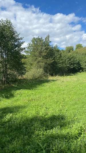 Vând teren intravilan în Beznea , Bratca  - imagine 16