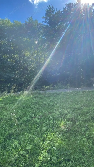 Vând teren intravilan în Beznea , Bratca  - imagine 13