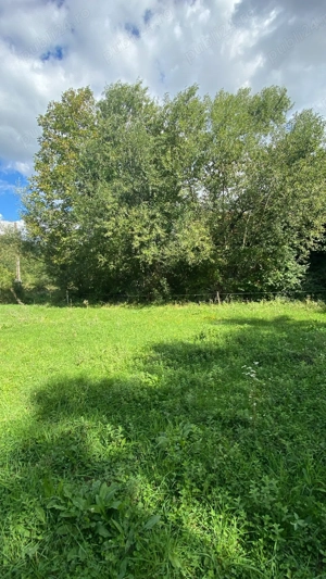 Vând teren intravilan în Beznea , Bratca  - imagine 14