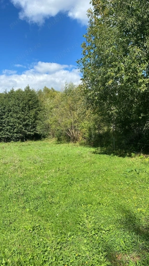 Vând teren intravilan în Beznea , Bratca  - imagine 15