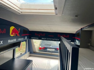 Vand Rulota inmatriculata - imagine 4