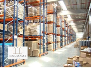 Hala Moderna 6200mp | Panouri Solare - Freidorf - Acces la Centura - imagine 7