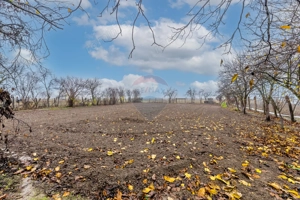 Casă cu anexe si teren de 759mp in Misca - imagine 2