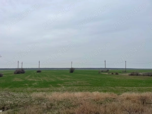 Giurgiu-Marsa 8.5 ha deschidere stradala 80m - imagine 2