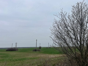 Giurgiu-Marsa 8.5 ha deschidere stradala 80m - imagine 3