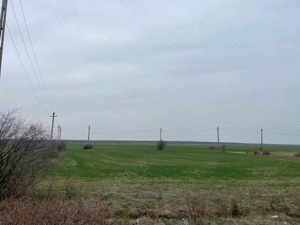 Giurgiu-Marsa 8.5 ha deschidere stradala 80m - imagine 4