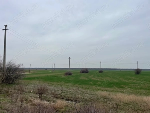 Giurgiu-Marsa 8.5 ha deschidere stradala 80m - imagine 5