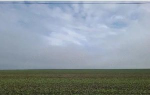 Teren extravilan Orbeasca, ID: R2836912