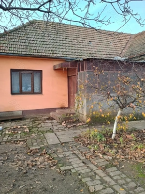 Vand casa la sat in judetul Timis - imagine 4