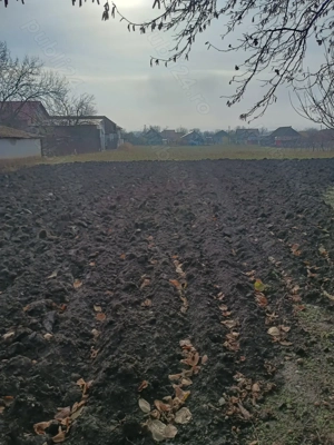 Vand casa la sat in judetul Timis - imagine 5