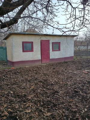 Vand casa la sat in judetul Timis - imagine 6