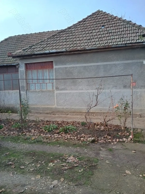 Vand casa la sat in judetul Timis - imagine 10