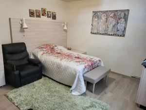 Casa cu 6 camere piscina si pivnita in Turnisor - imagine 7