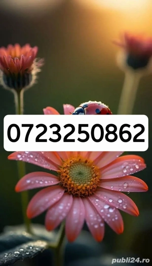 ceas Fossil - imagine 3