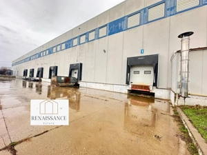 Hala Moderna 6200mp | Panouri Solare - Freidorf - Acces la Centura - imagine 10