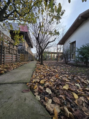 Exclusivitate! Proprietate Sendreni, zona linistita, 69.000 EUR - imagine 5