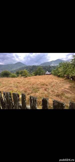 Inchiriez teren in Hârja, pe termen lung. - imagine 4