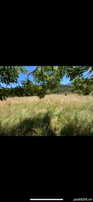 Inchiriez teren in Hârja, pe termen lung. - imagine 3