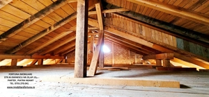 Casa la rosu D+P+E si teren 873 mp, sat Bistrita - imagine 13